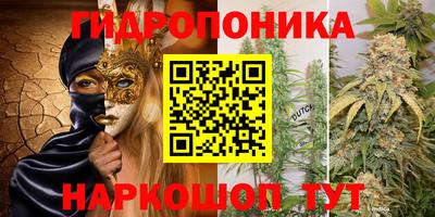 гашиш Тара