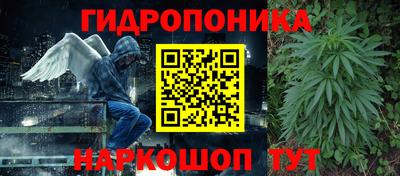 молекула духа Старая Купавна