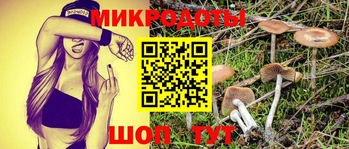 Псилоцибиновые грибы мухоморы Азнакаево