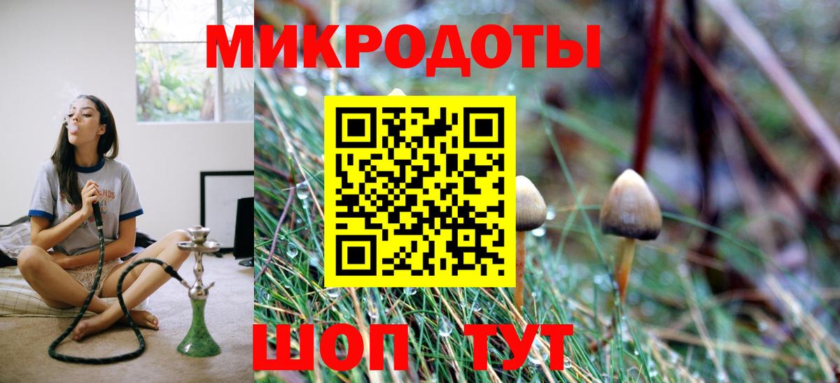 Азнакаево  Галлюциногенные грибы Psilocybine cubensis  Вход с VPN  Галлюциногенные грибы GOLDEN TEACHER 
